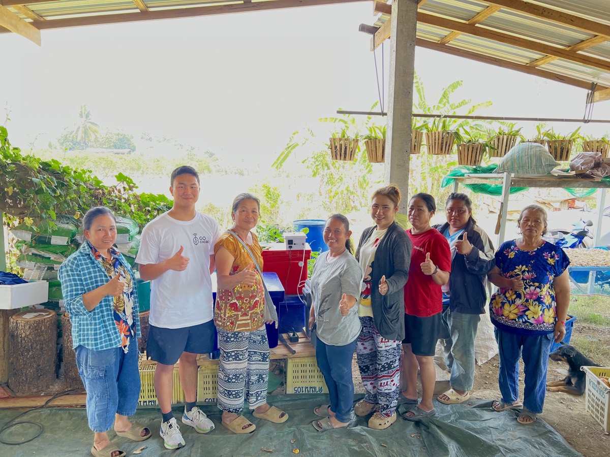 With cacao farmers